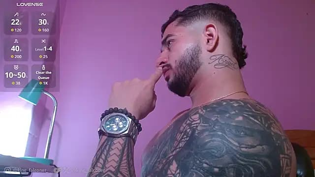 king_falconer live cam