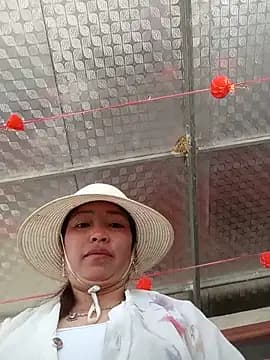 Yellow-pink live cam
