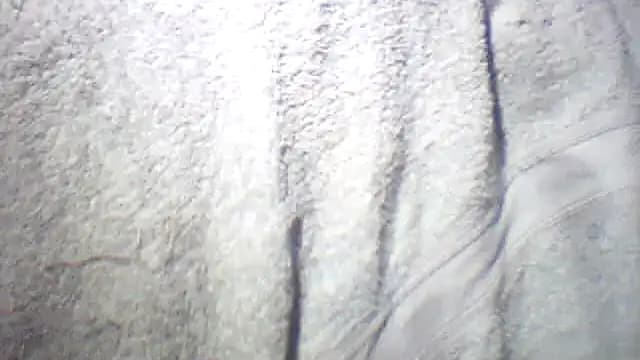 pietje1991 live cam