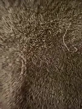hott-boyyy live cam