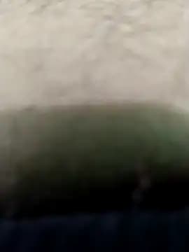 erotickingfun live cam
