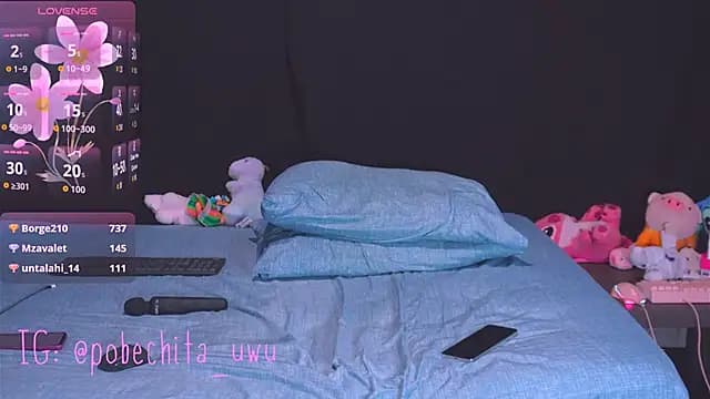 Pobechita live cam