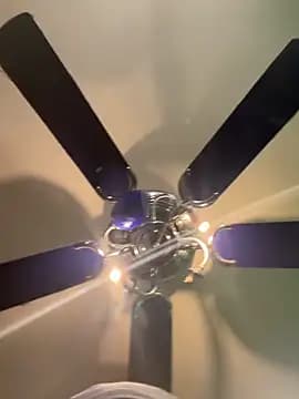 ChicagoMadeThirdLeg live cam