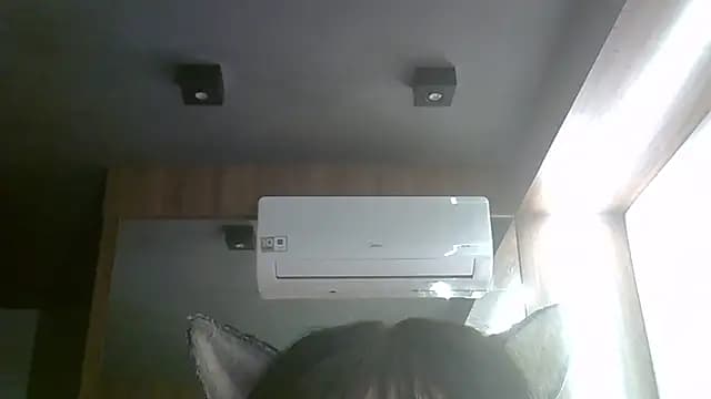 SkinnyKitten live cam