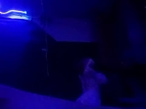 lelandm77 live cam