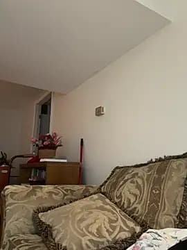 KOdaLion live cam