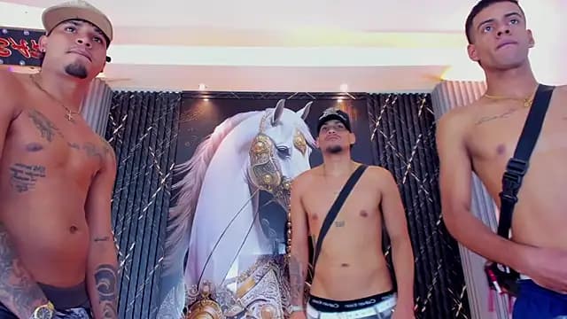 the_knights_of_the_night_ live cam