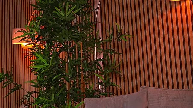 KhloeDaviss live cam