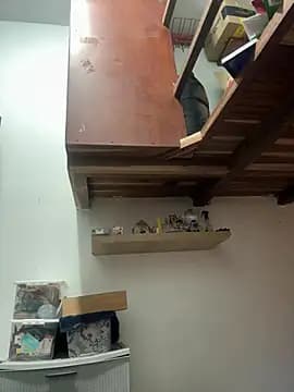 Sophia_Weest99 live cam