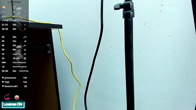 DianaVoggel live cam