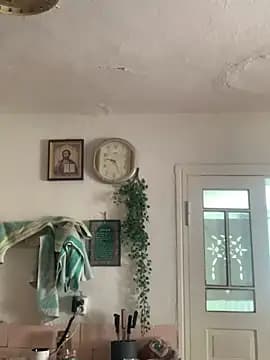 Frosl live cam
