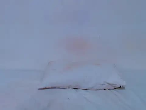 HONEYxPOT live cam