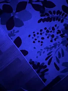Matipomp11 live cam
