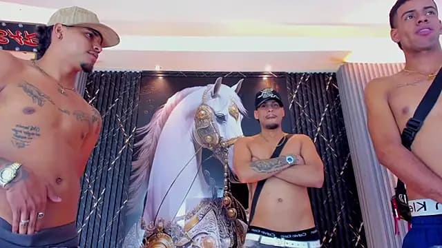 the_knights_of_the_night_ live cam on Stripchat