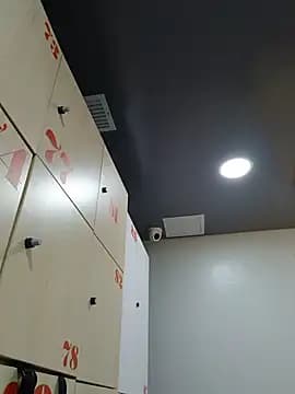 _vaness live cam
