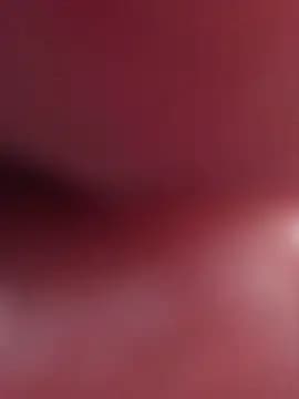 Lilactease live cam