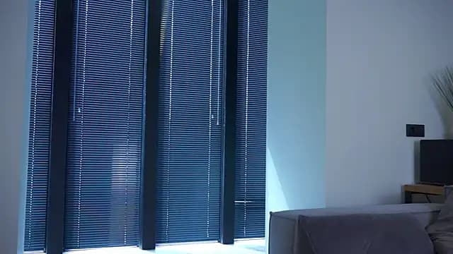 buvei live cam