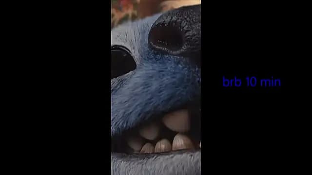 vinkitinkii live cam