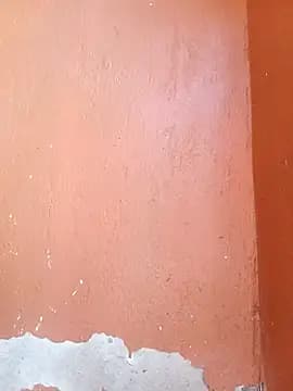 LALA-KITTY live cam