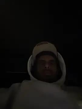 dingoding live cam
