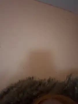 BunnyYT live cam
