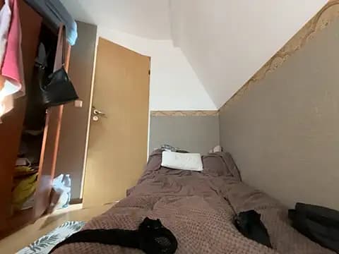 Svetlysvet live cam