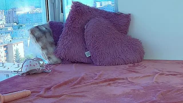 Crystal_Domme live cam on Stripchat