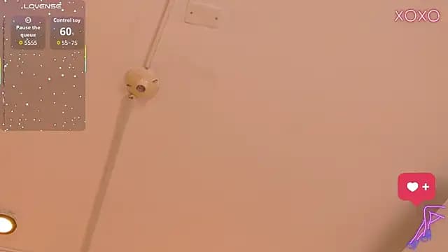 MoliBunny live cam