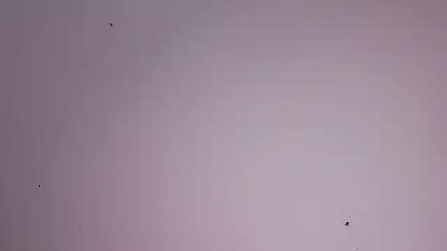 CleeoAdams_ live cam