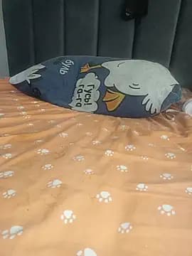 Krasav4ik4ik live cam