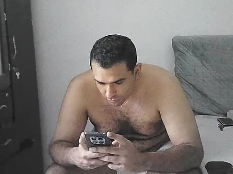 IronSideBear live cam