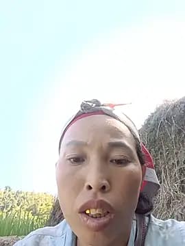 NIANIAKUTE live cam