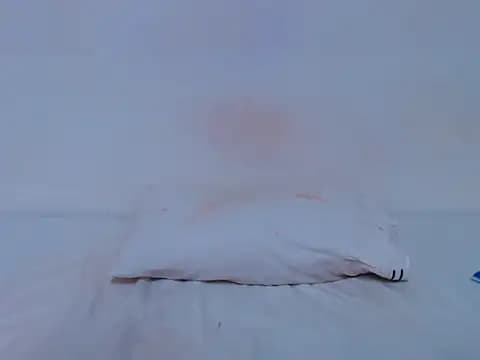 HONEYxPOT live cam