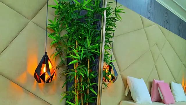 ChloeFrost live cam