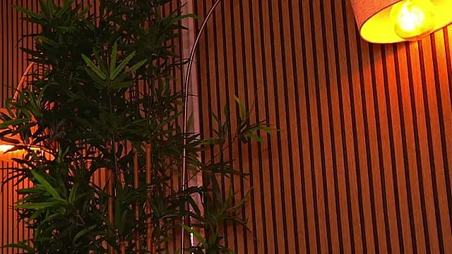KhloeDaviss live cam