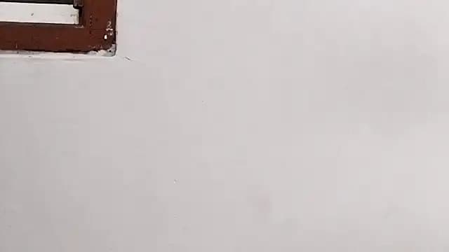 DarlenaNastasia live cam