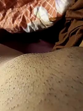 -Tara-a live cam