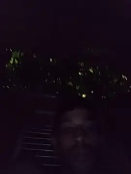 segnini21 live cam