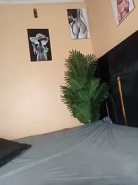 Pinkydish live cam