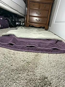 laninasub live cam
