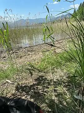 Pam9669 live cam