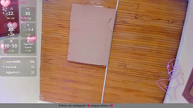 megan_shyne live cam