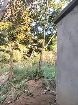 Bianca_Nina live cam