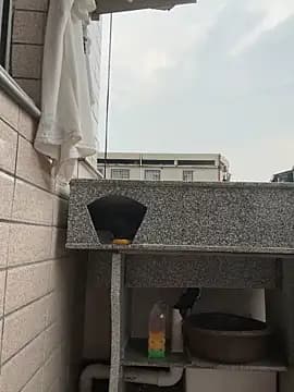 daaqnn live cam
