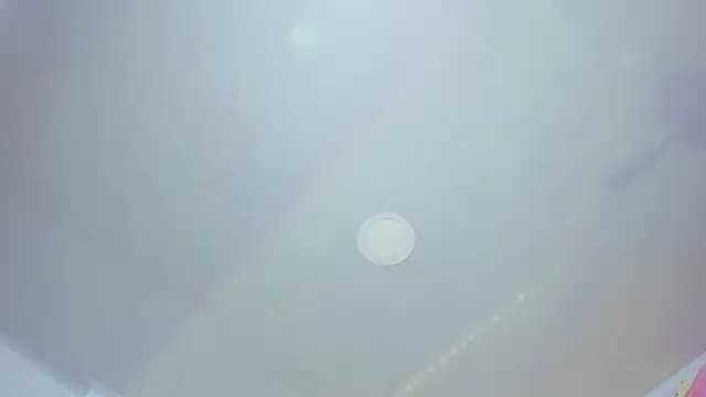 Daisy__rose live cam