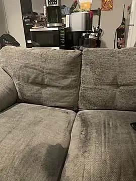 notmyfrogbro live cam
