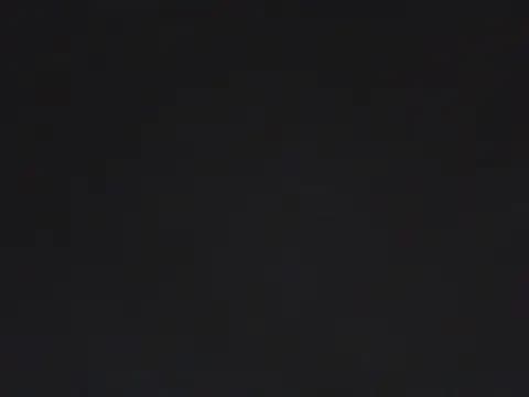 Nuttysub live cam