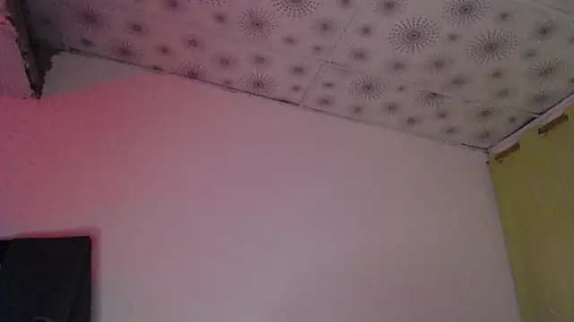hares_mds live cam