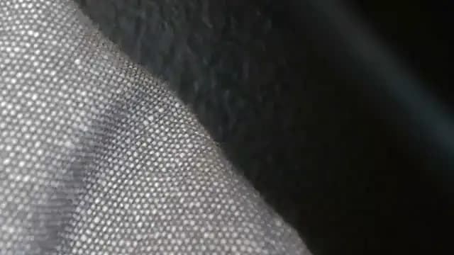N3V3RPANIC xh live cam