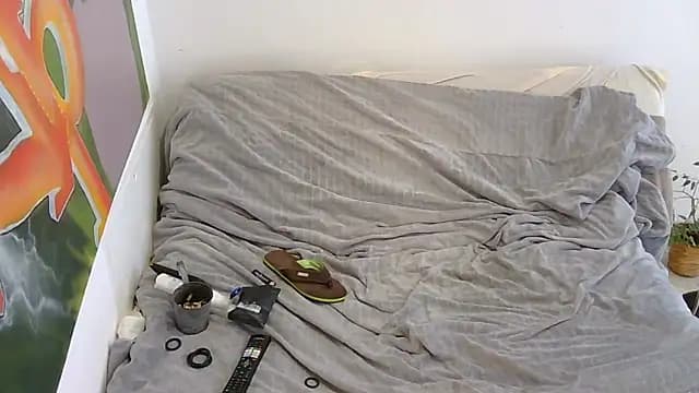 EdelHolz91 live cam